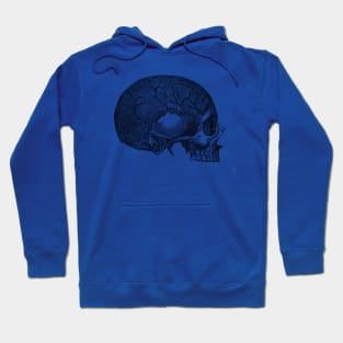 Vein and Skull Diagram - Vintage Anatomy Hoodie